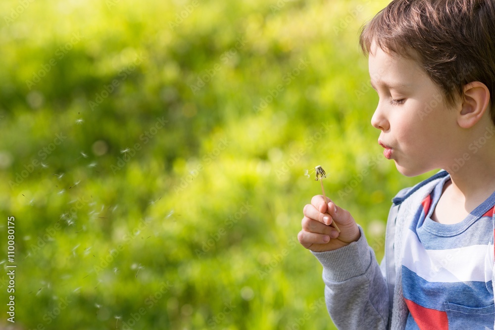 Children's Day. Sweet little boy blowing dandelion Children's Day. Sweet little boy blowing dandelion