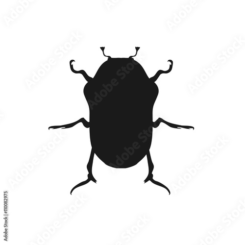 Protaetia May Bug Insect Design Flat