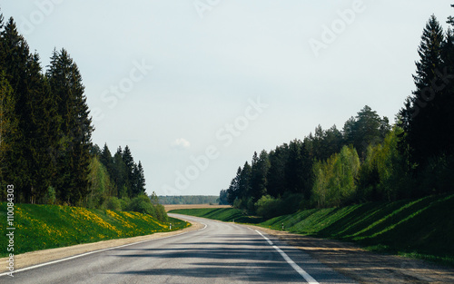 загородная дорога, лес, путешествия, окружающая среда