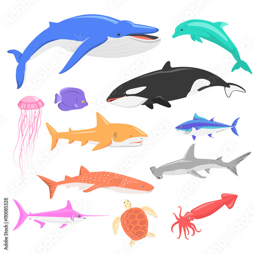 Marine Fauna Set of Aquatic Animals