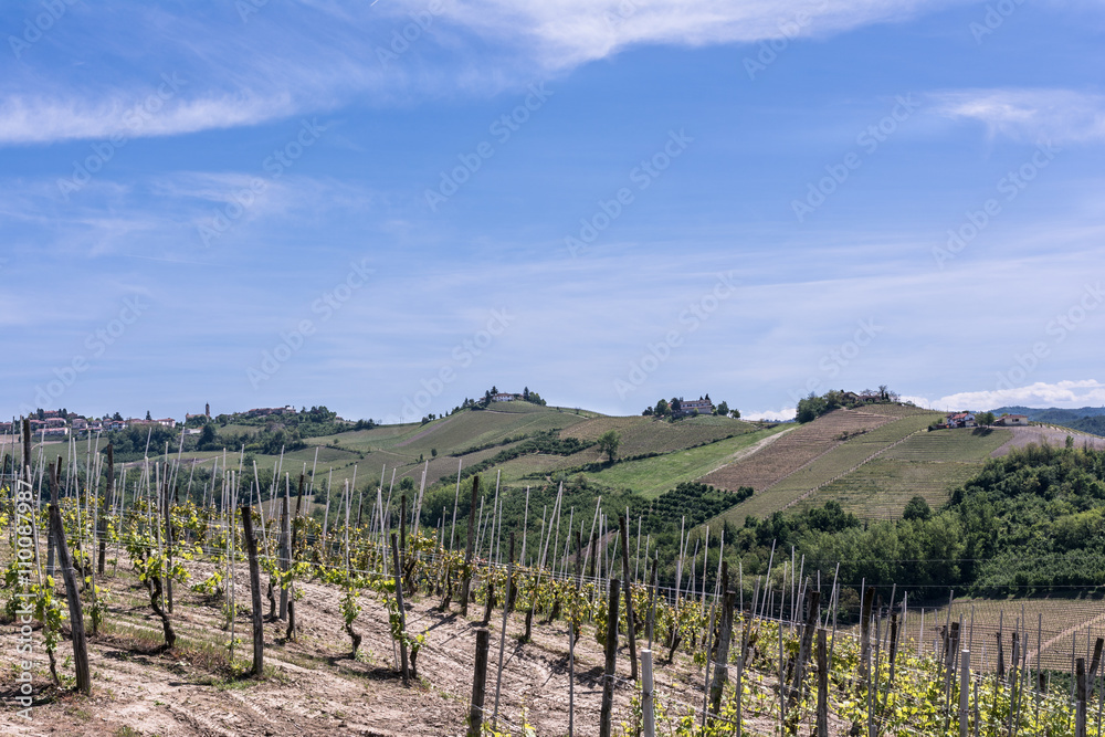 Vineyards and hills in Langhe region, Italy
