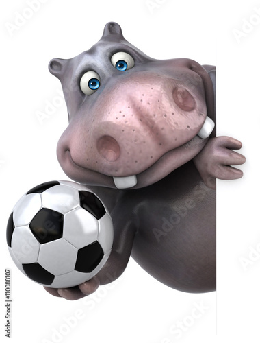 Fun hippo