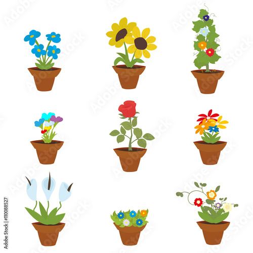 Spring Flowers In Pots