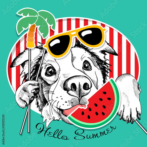 Festive poster with the portrait of the dog Australian shepherd with the summer photo booth props. Vector illustration.