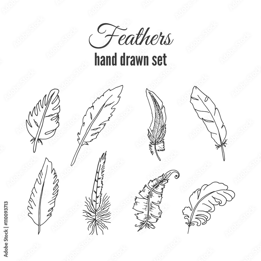 Vector feathers set. Hand drawn ethnic elements. Sketchy feather. Vector feathers set. Hand drawn ethnic elements. Sketchy feather.