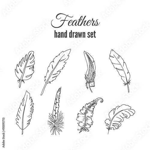Vector feathers set. Hand drawn ethnic elements. Sketchy feather.