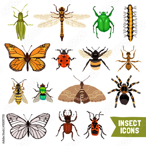 Insects Icons Set © Macrovector