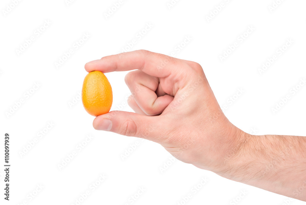 Kumquat fruit in hand