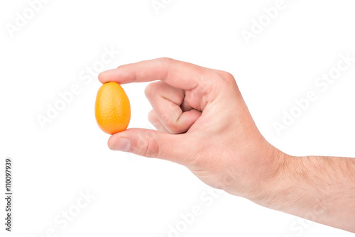 Kumquat fruit in hand