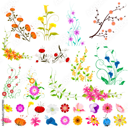 Collection of colorful Flowers