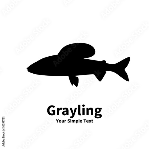 Vector illustration silhouette of grayling