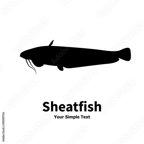 Vector illustration silhouette of fish catfish