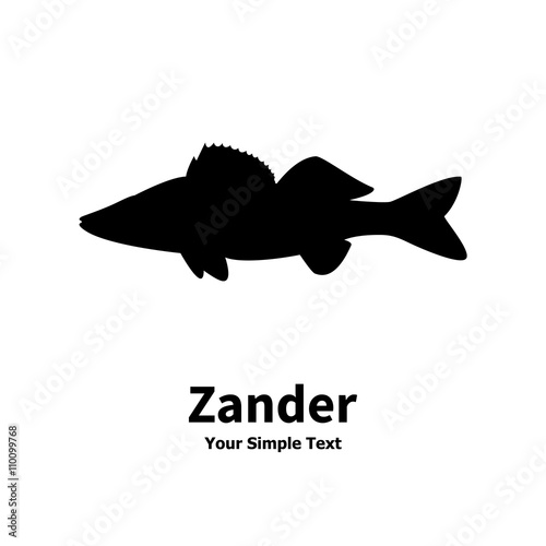 Vector illustration silhouette of zander