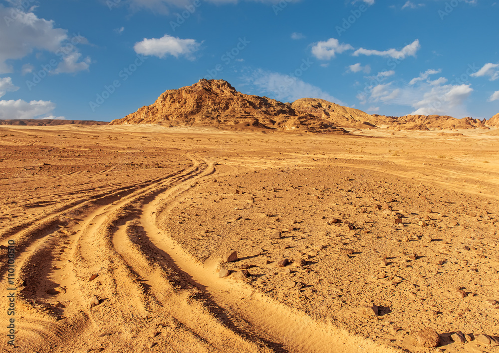 Sinai desert landscape