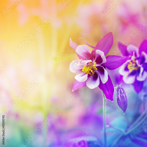 Floral background