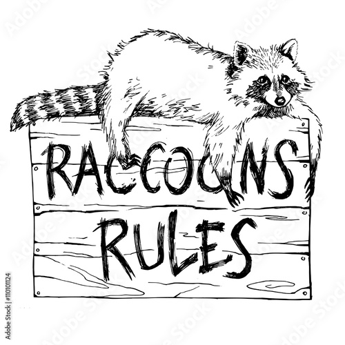 Funny and touching raccoon lies on a plate raccoons rules hand drawn engrave sketch vector illustration
