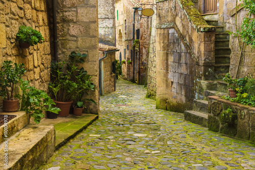 Fototapeta Naklejka Na Ścianę i Meble -  Narrow street of medieval ancient tuff city Sorano with green plants and cobblestone, travel Italy background