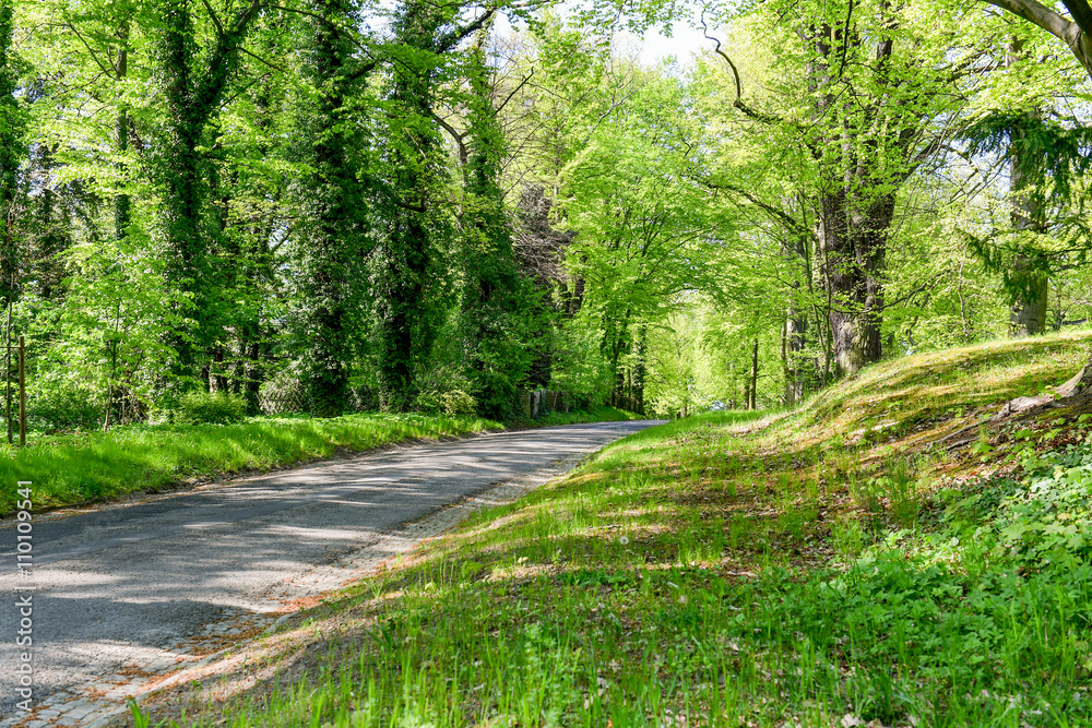 Parklandschaft im Frühling - Land Brandenburg