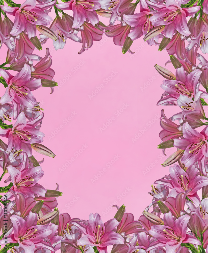 delicate frame of pink lilies closeup