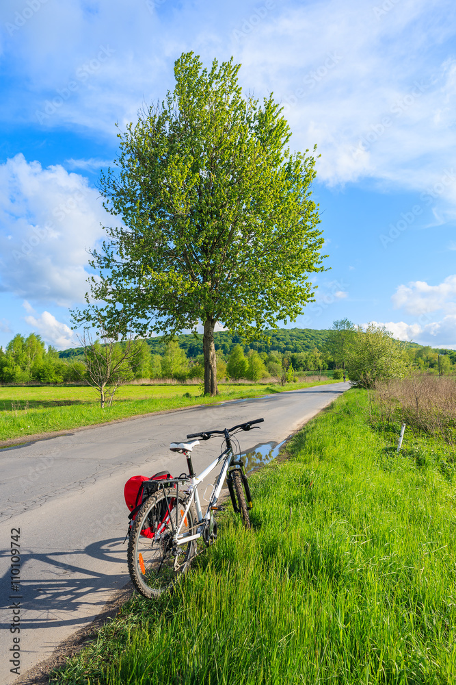 Fototapeta premium A mountain bike parked on road along along rural landscape near Krakow, Poland