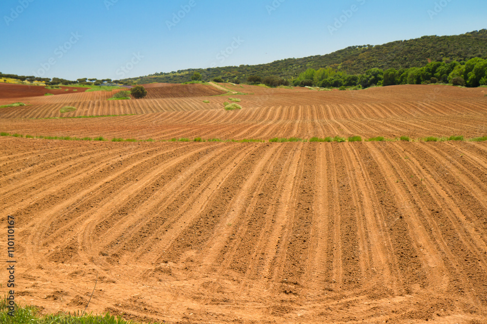 Farm field in spring Farm field in spring