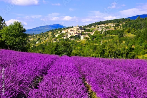 View of a hilltop village in Provence, France over beautiful rows of lavender