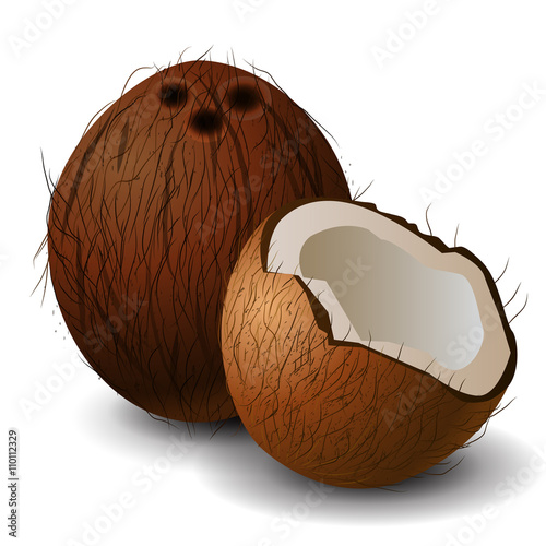 Coconut tropical nut fruit 