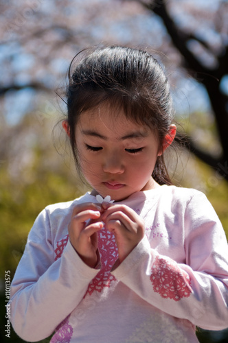 桜の花を見つめる日本人の女の子