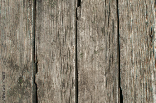 Wooden panel of old weathered oak boards closeup as background