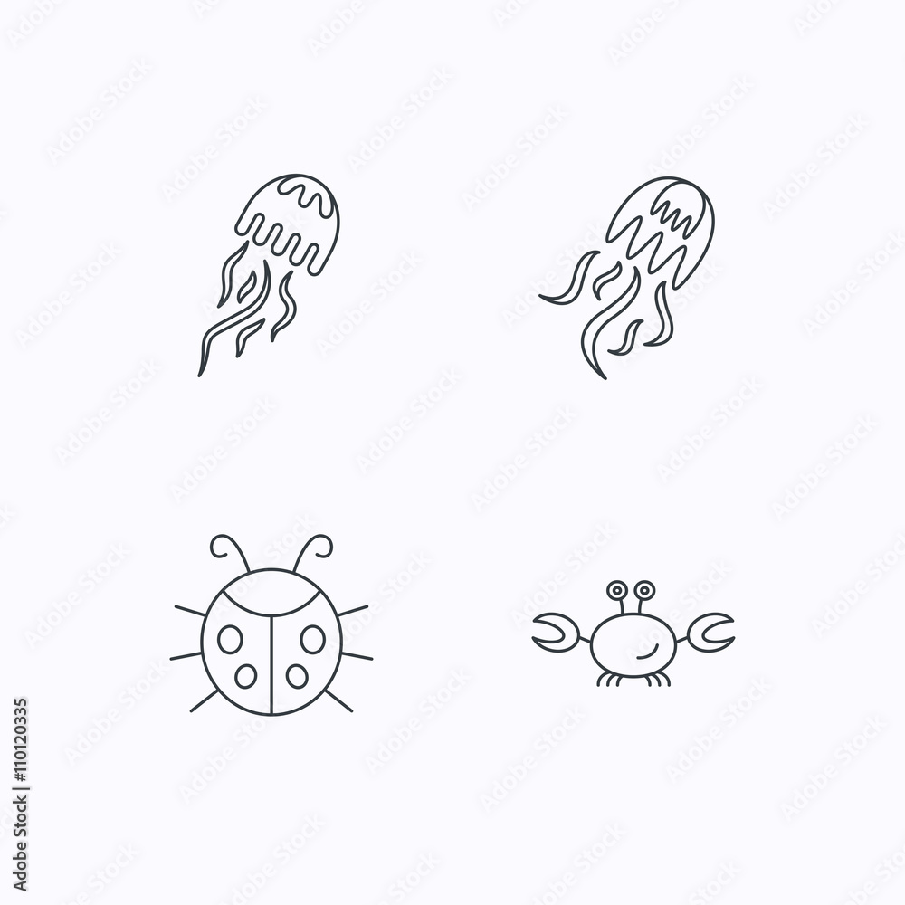 Jellyfish, crab and ladybug icons. Jellyfish, crab and ladybug icons.