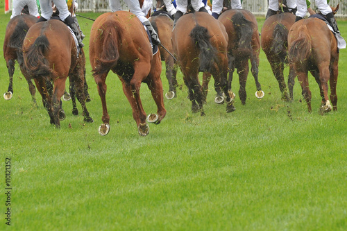 Horse racing action