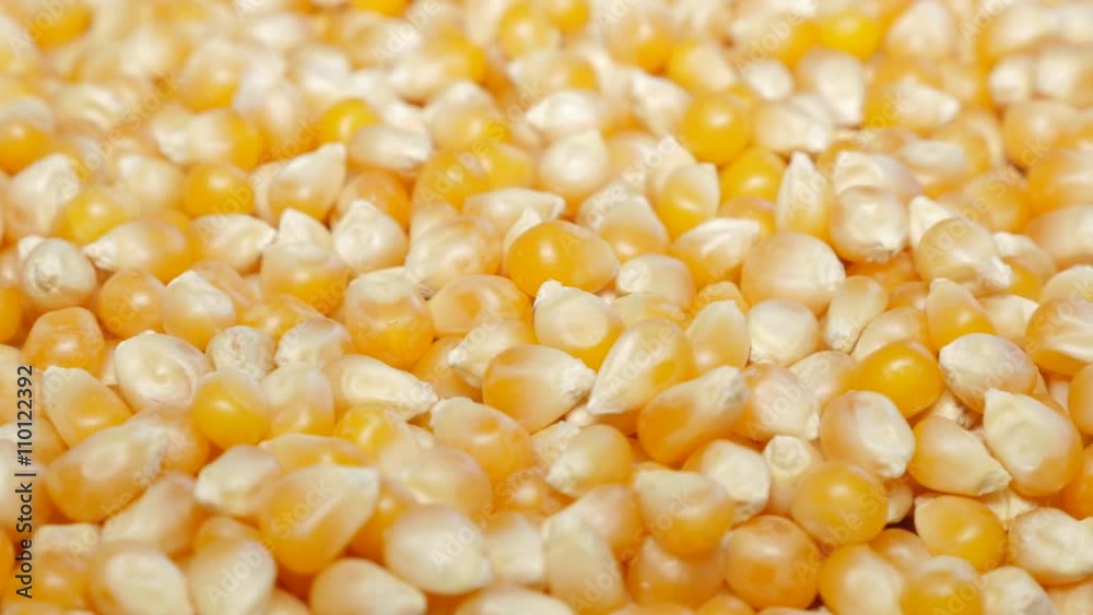 Popcorn seed macro shallow DOF 4K 2160p UHD footage - Pop-corn seeds panning 4K 3840X2160 UHD video Popcorn seed macro shallow DOF 4K 2160p UHD footage - Pop-corn seeds panning 4K 3840X2160 UHD video