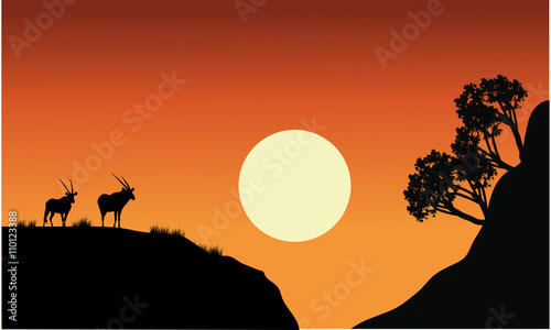Silhouette of antelope with sun 