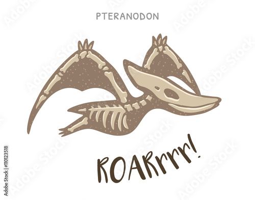 Cartoon pteranodon dinosaur fossil. Vector illustration