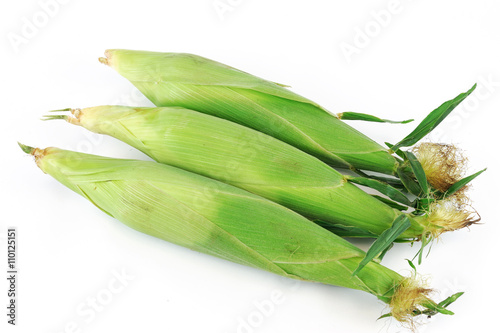 fresh raw corn cob with husk on white background
