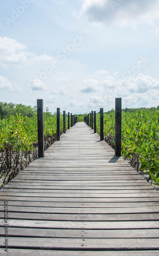 Wood bridge in mangrove the way study nature at thung prong thong  Rayong   Thailand