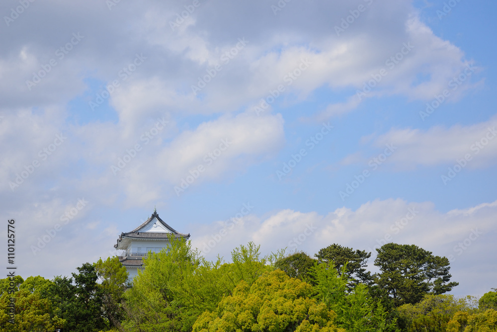 真っ白に輝く小田原城天守閣
リニューアルされたばかりの小田原城天守閣が青空をバックに美しかった。 真っ白に輝く小田原城天守閣
リニューアルされたばかりの小田原城天守閣が青空をバックに美しかった。