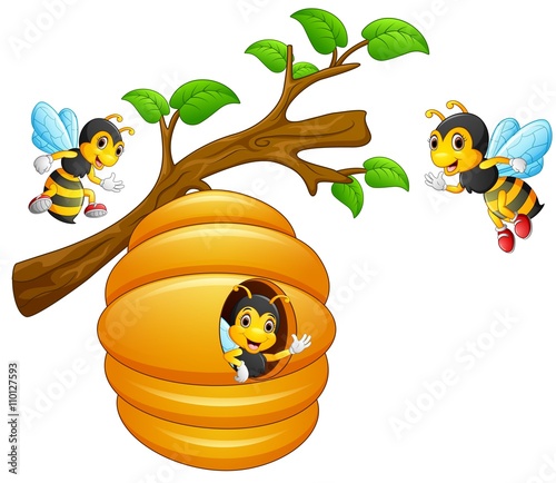 The bees fly out of a beehive hanging from a tree branch