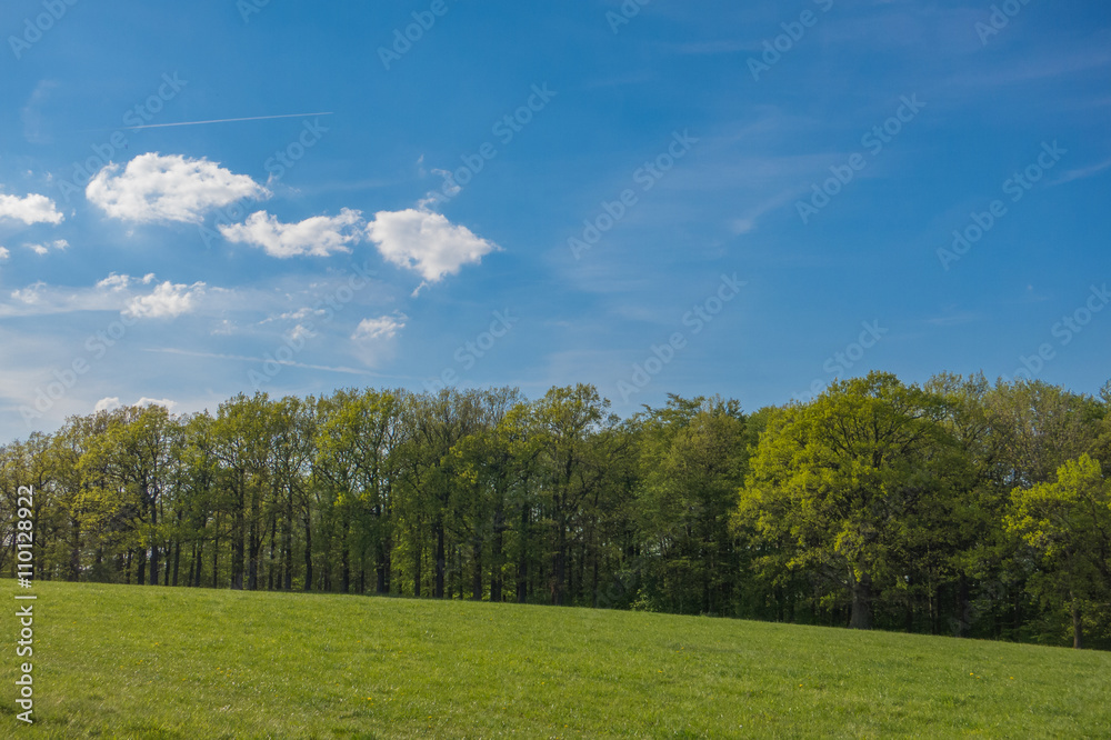 Landschaft im Frühling