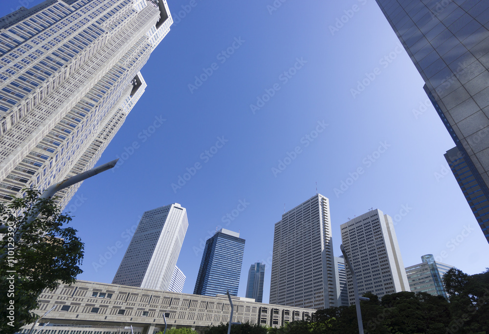 新宿高層ビル街　東京都庁前から望むビル群　快晴　青空　コピースペース