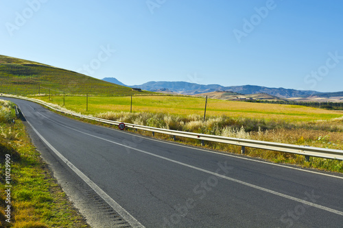 Road between Fields