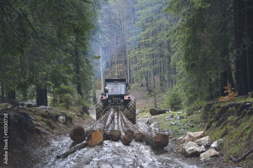 Skidding timber / Tractor is skidding cut trees out of the forest.
