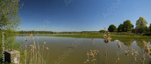 Etangs dans les Dombes - Ain.