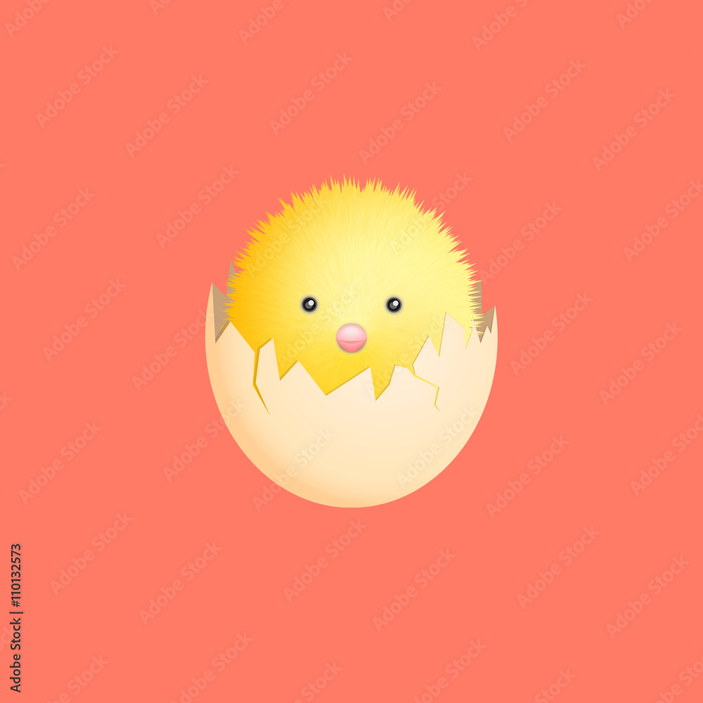 fluffy chick fluffy chick