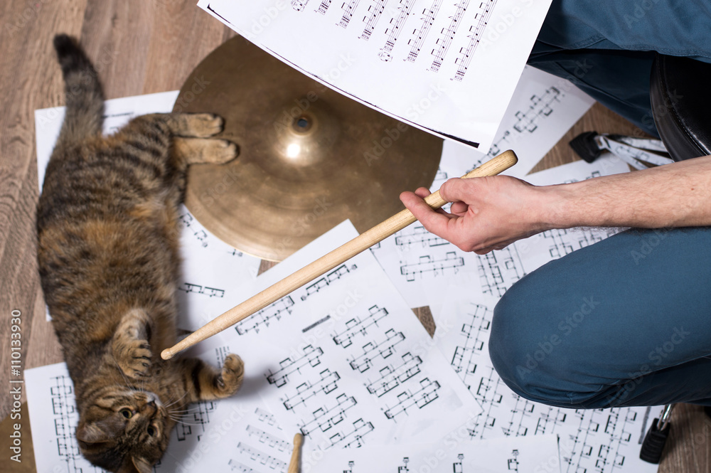 Naklejka premium Drums conceptual image. Picture of man with stick and music notes. Background - cymbals, notes and cat