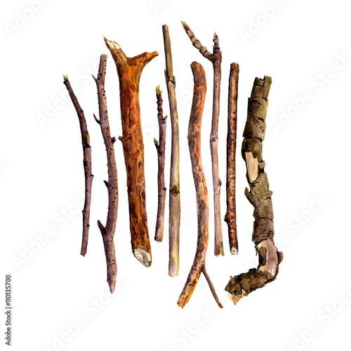 watercolor wood twigs