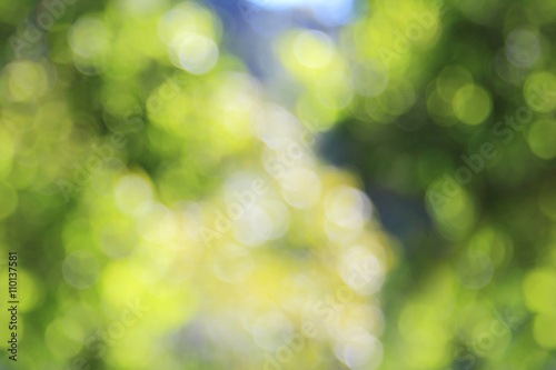 Natural outdoors bokeh background in green and yellow tones bright, beautiful
