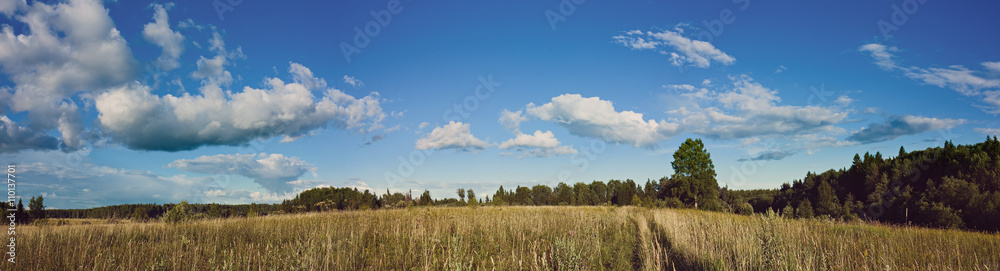 Panorama of clouds and meadow with Instagram style filter