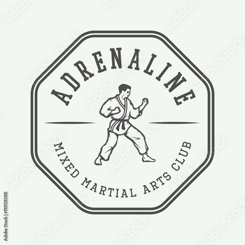 Vintage karate or martial arts logo, emblem, badge, label 
