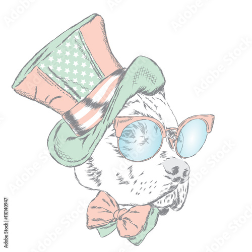 Pitbull in an unusual hat and sunglasses. Vector illustration. Funny dog.